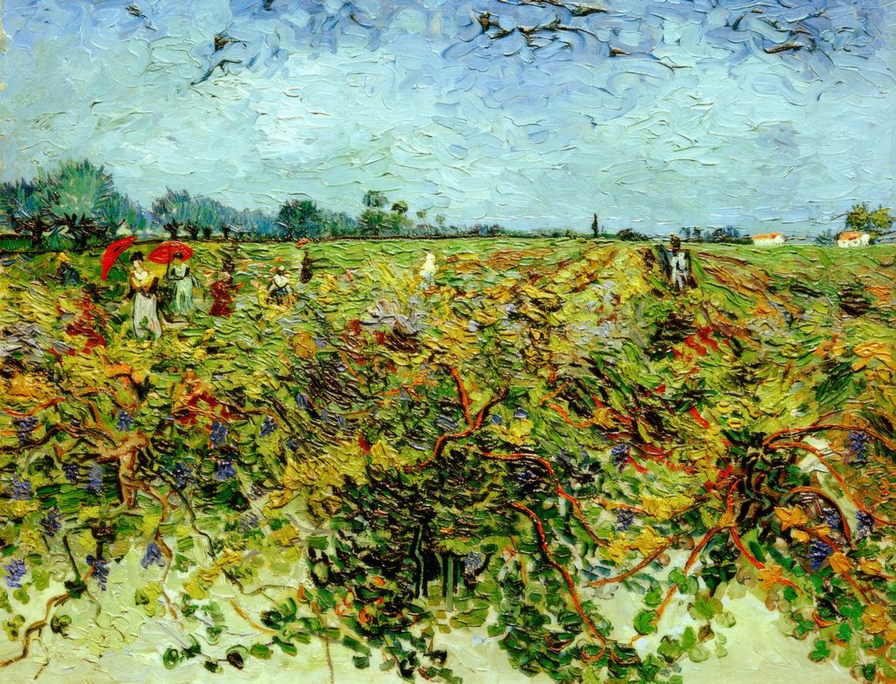 Den grønne vingård af Vincent van Gogh