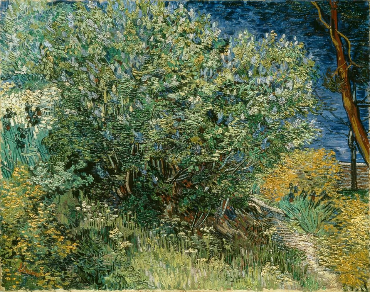 Syrenbusk af Vincent van Gogh