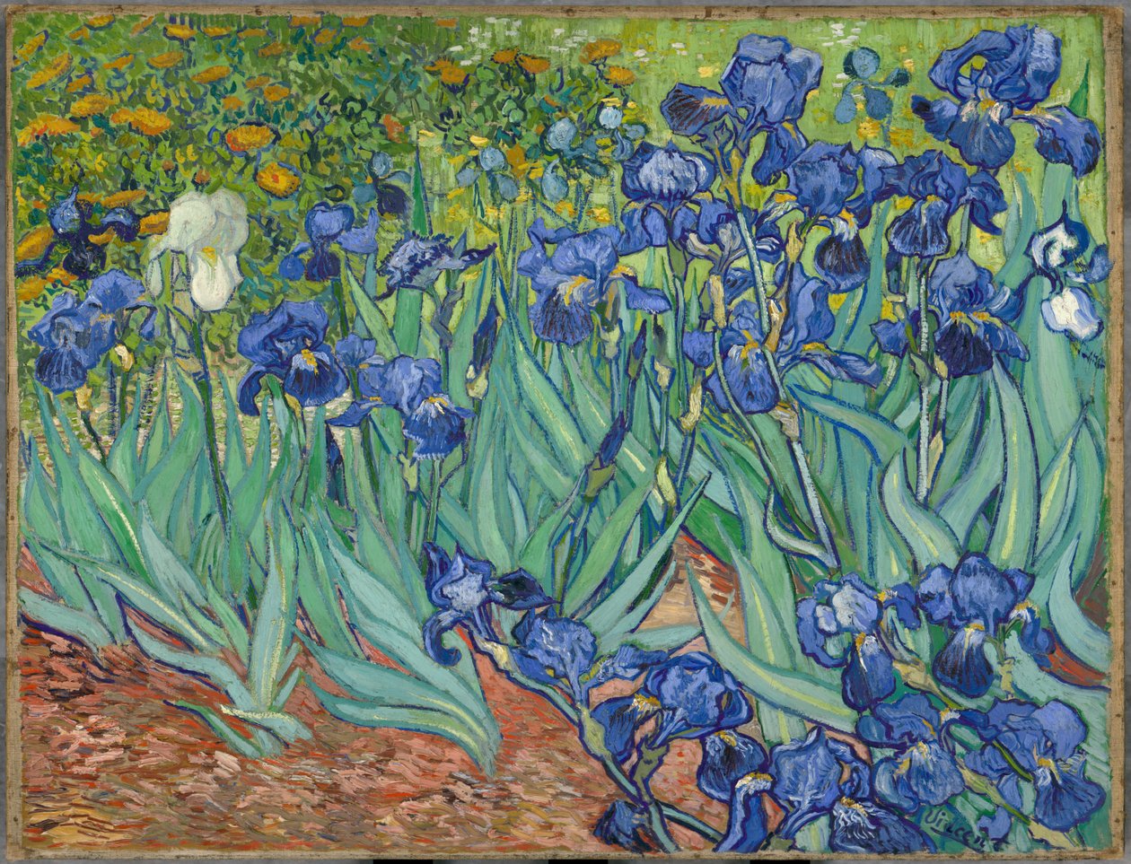 Iriser af Vincent van Gogh