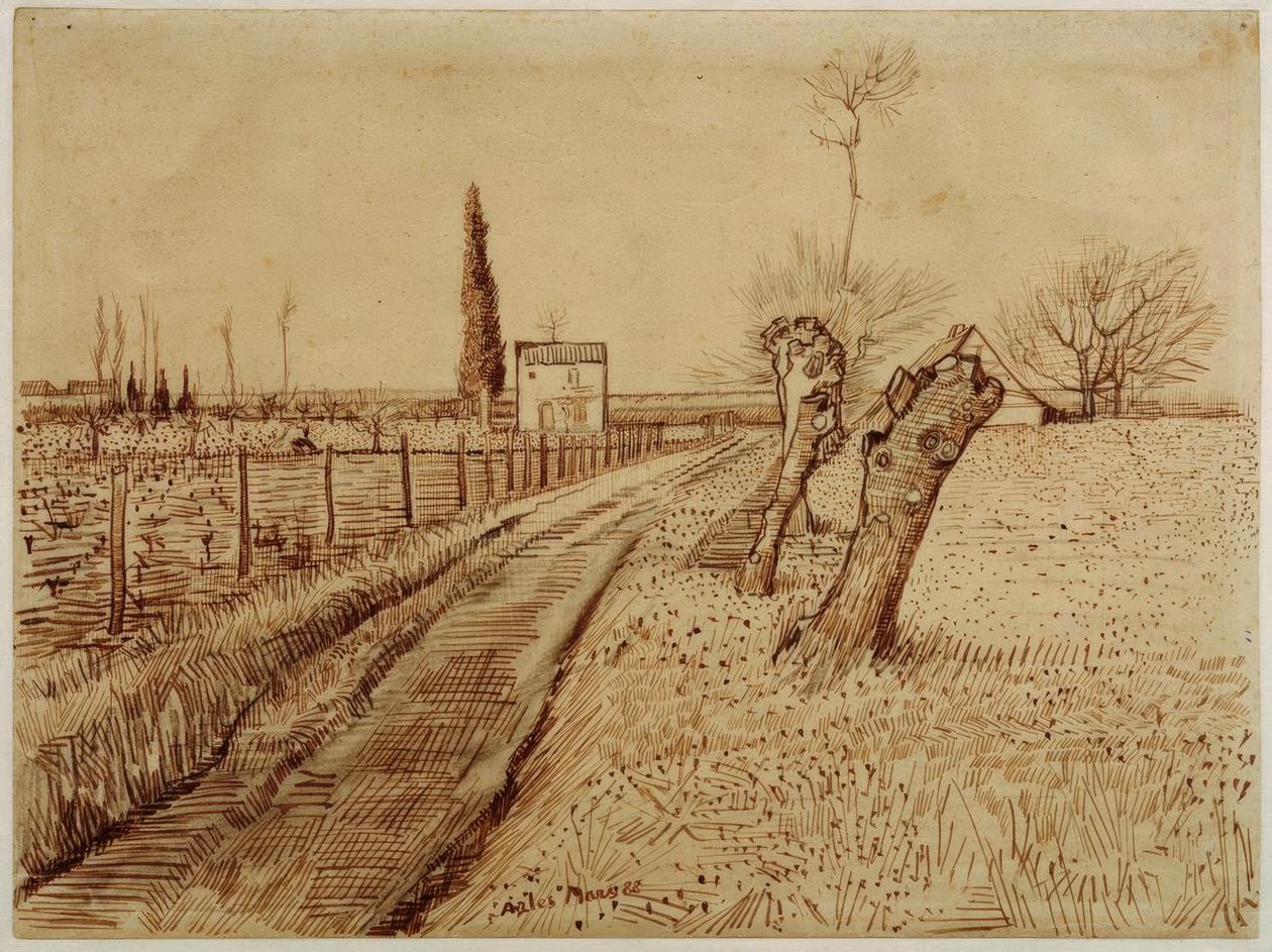 Landskab med sti og forurenede piletræer af Vincent van Gogh