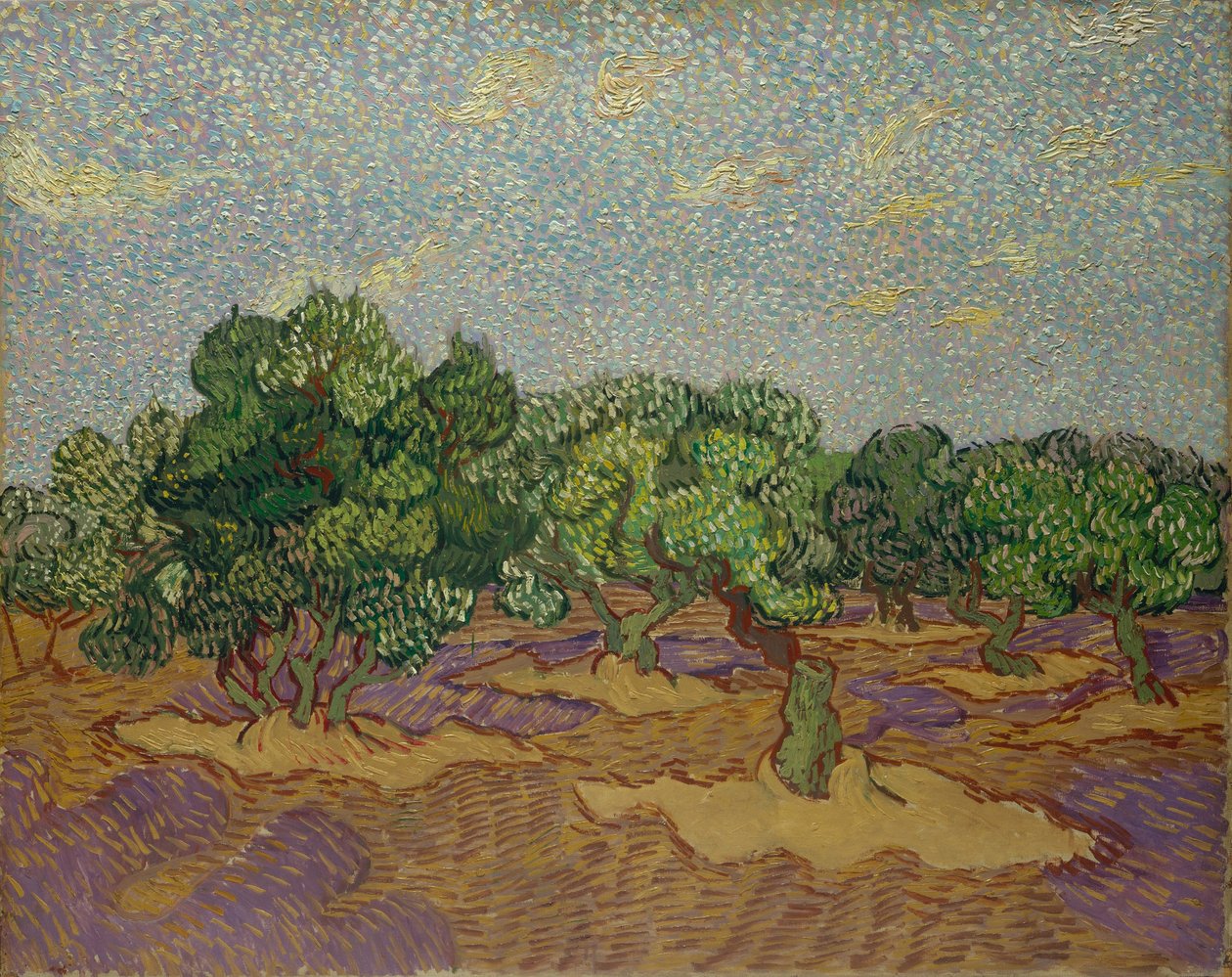 Oliventræer af Vincent van Gogh