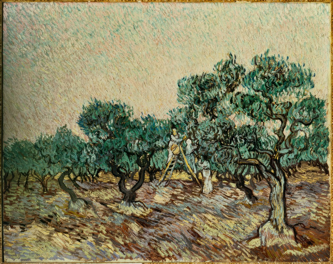 Olivenplukkere af Vincent van Gogh