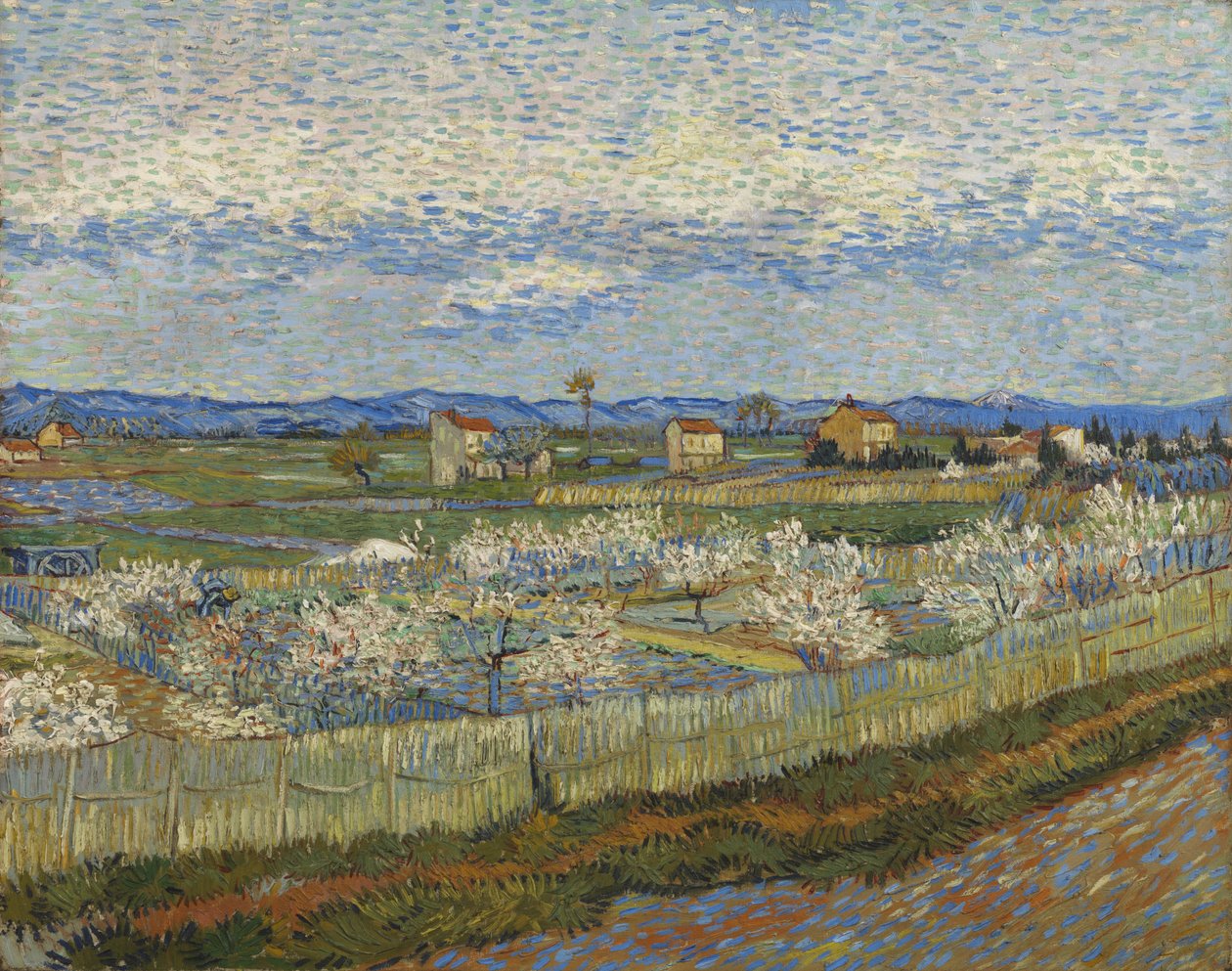 Ferskentræer i blomst, 1889 af Vincent van Gogh