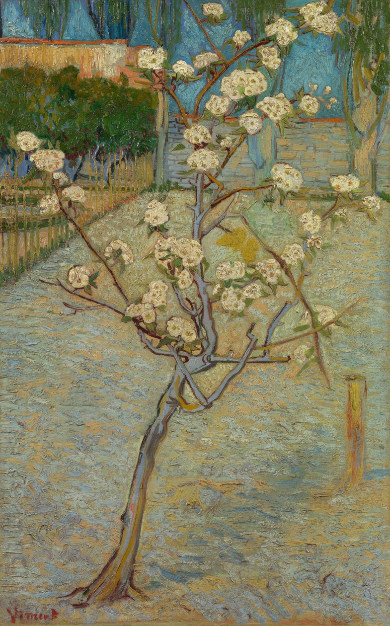 Lille pæretræ i blomst af Vincent van Gogh
