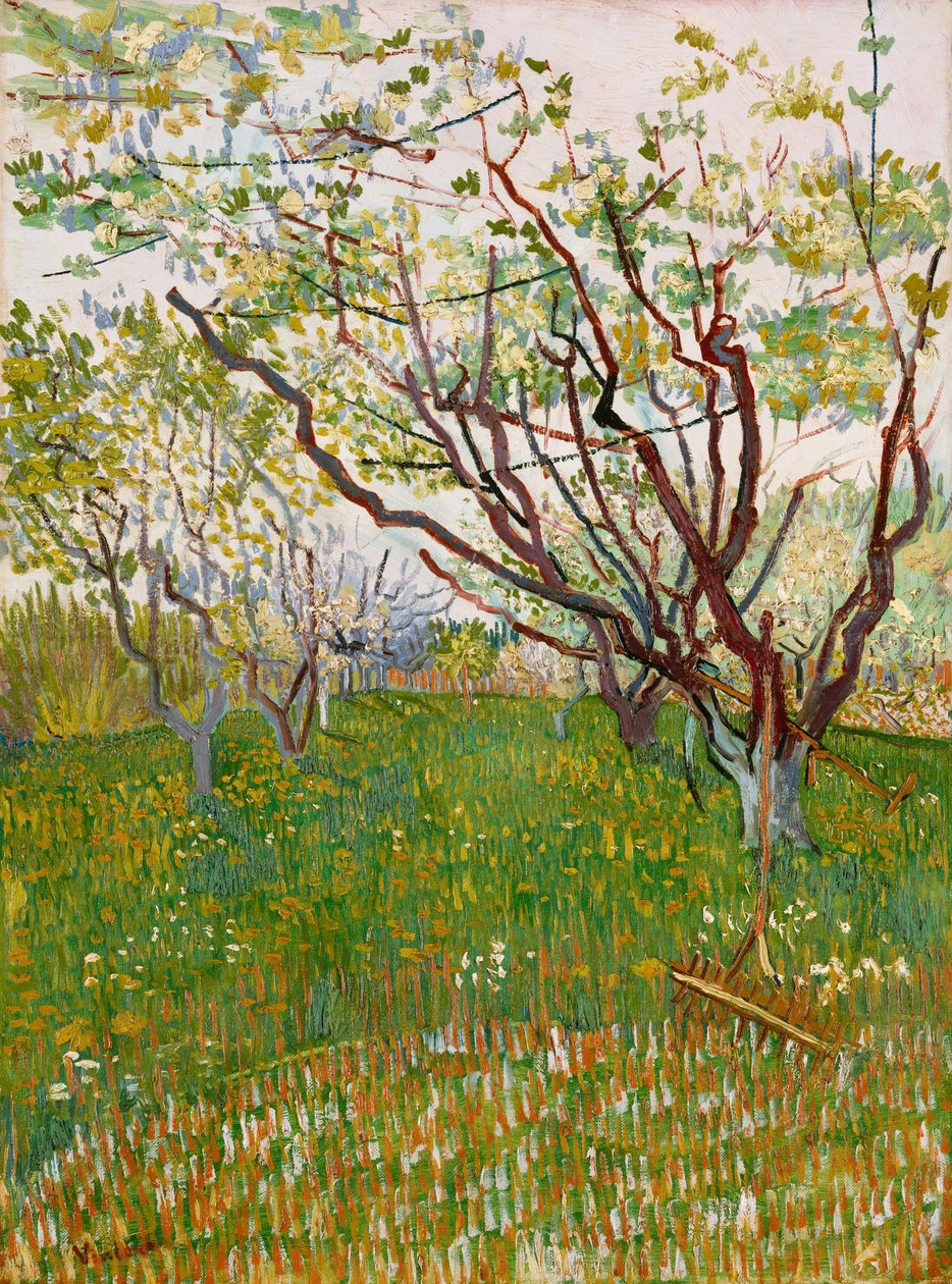 Den blomstrende frugthave af Vincent van Gogh