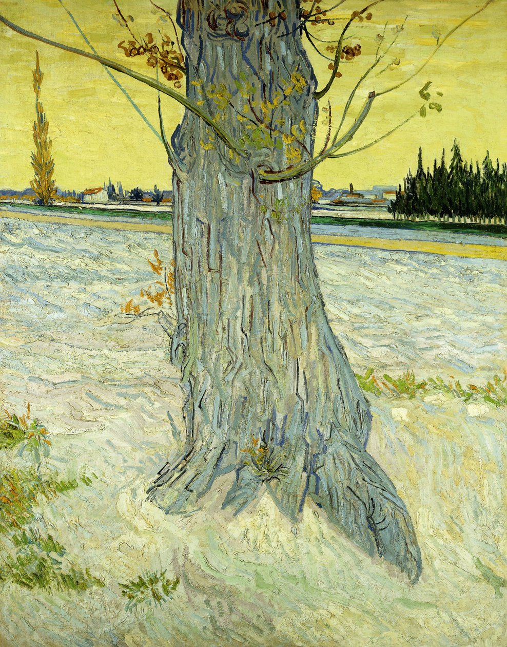 Det Gamle Træ; Le Vieil If af Vincent van Gogh