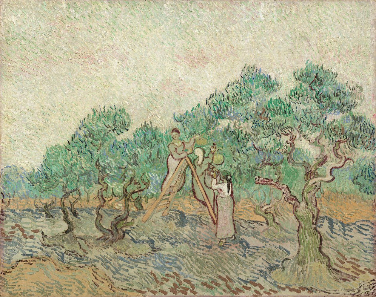 Olivenhaven, 1889. af Vincent van Gogh