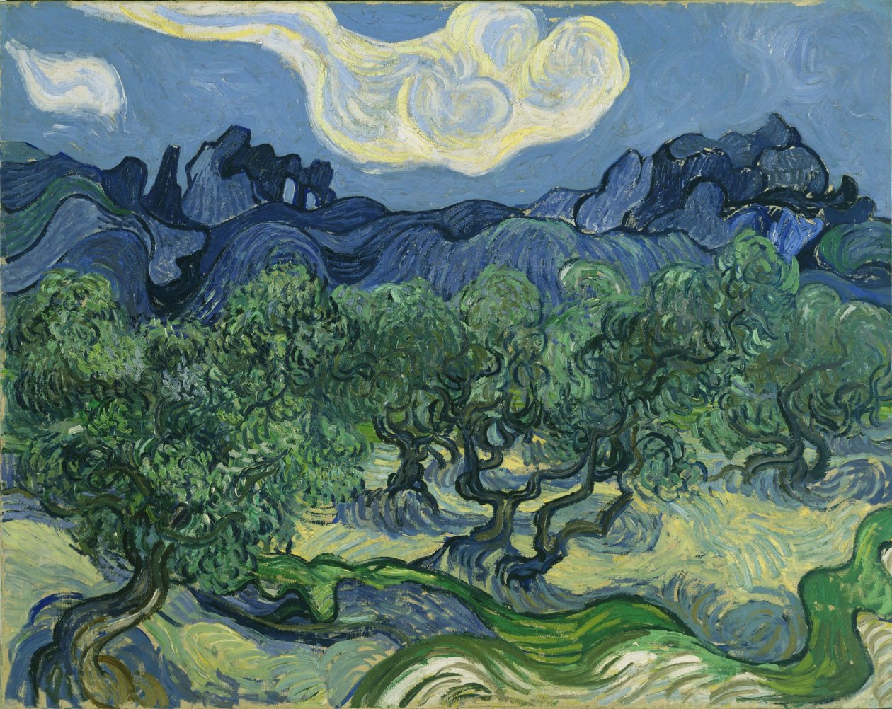 Oliventræerne af Vincent van Gogh