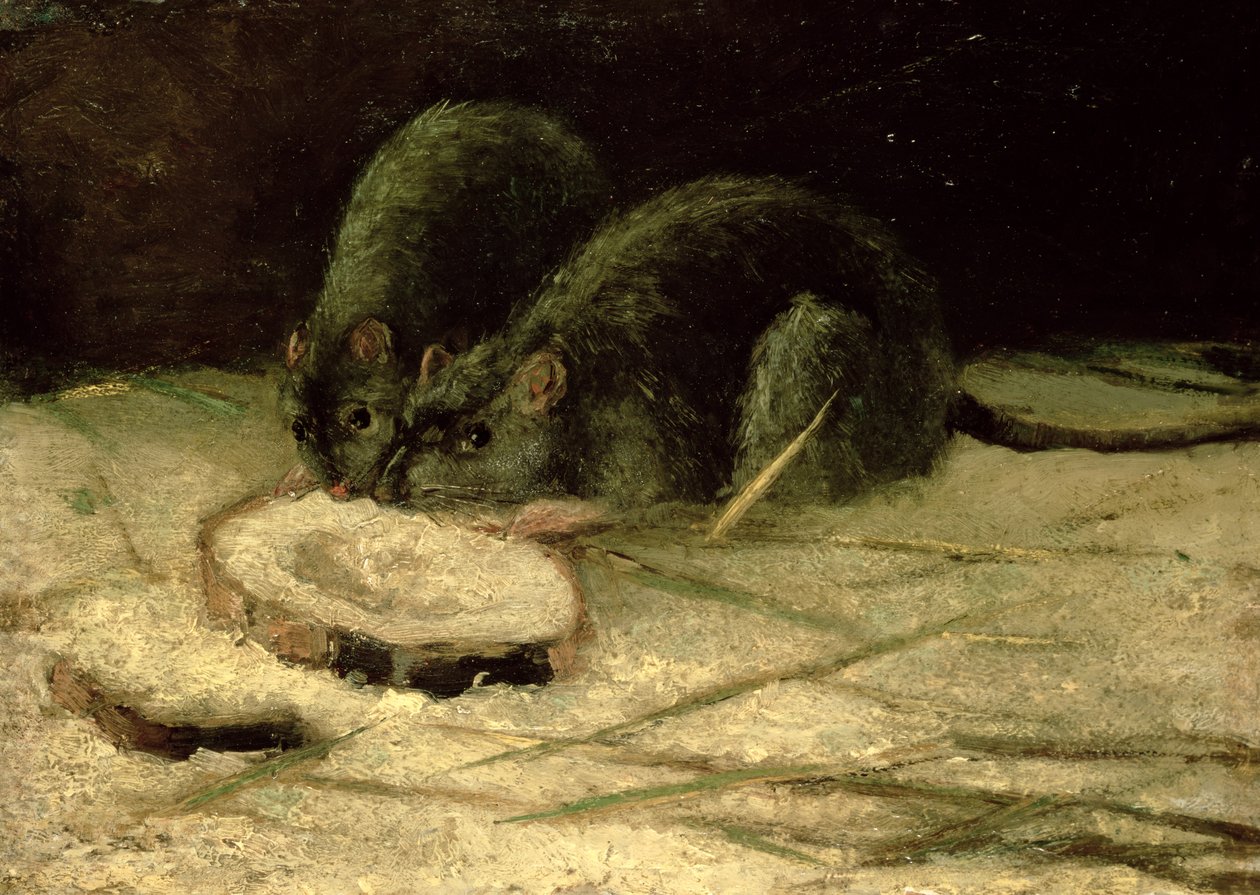 To rotter, ca. 1884 af Vincent van Gogh
