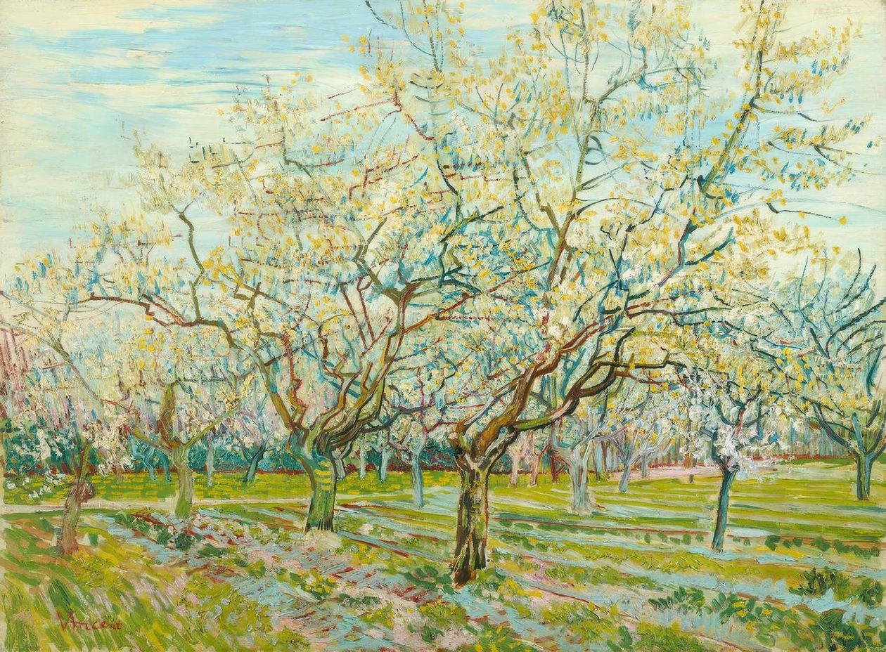 V. van Gogh, Den hvide frugthave af Vincent van Gogh
