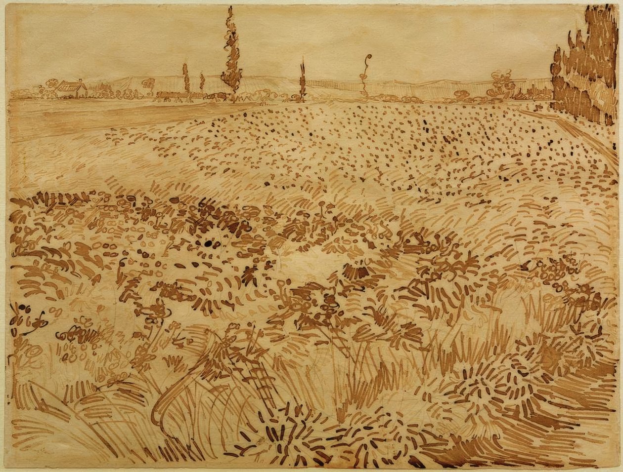 Hvedemark af Vincent van Gogh