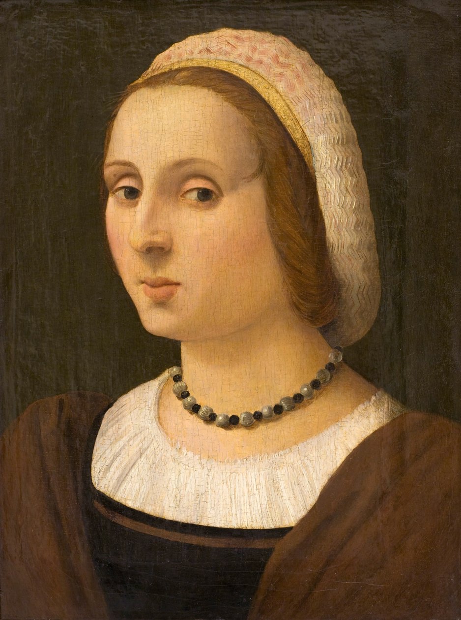 Portræt af en Dame af Vincenzo Tamagni