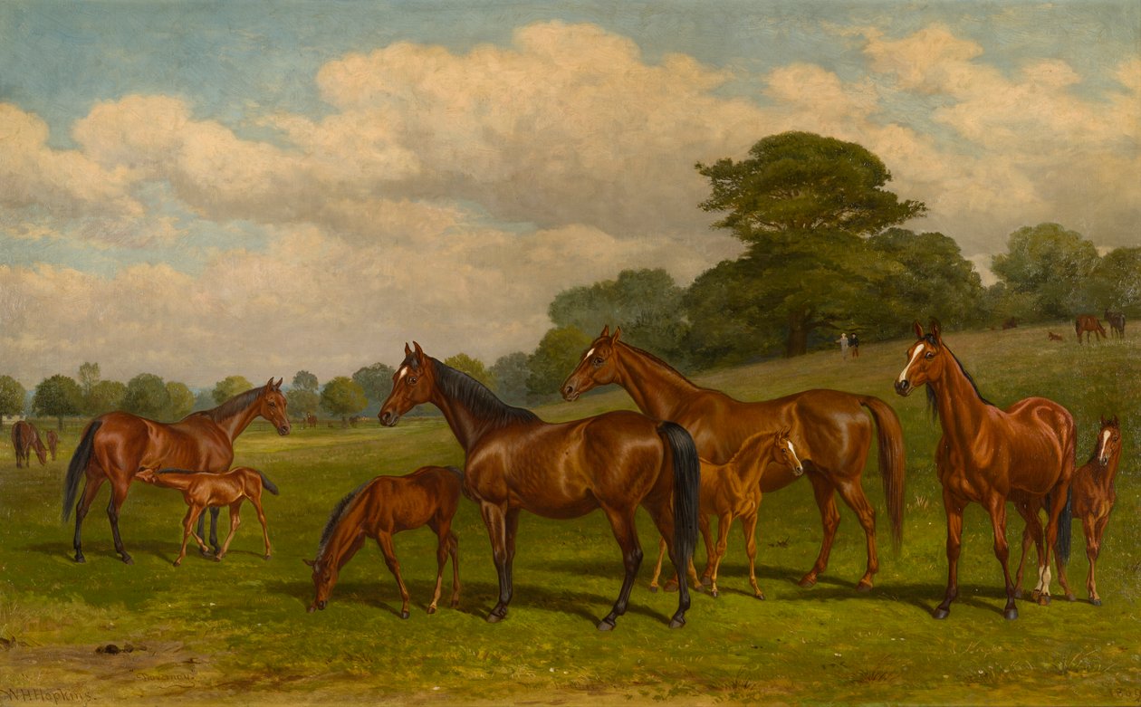 Hopper og føl, ca. 1892 (olie på lærred) af W.H. Hopkins