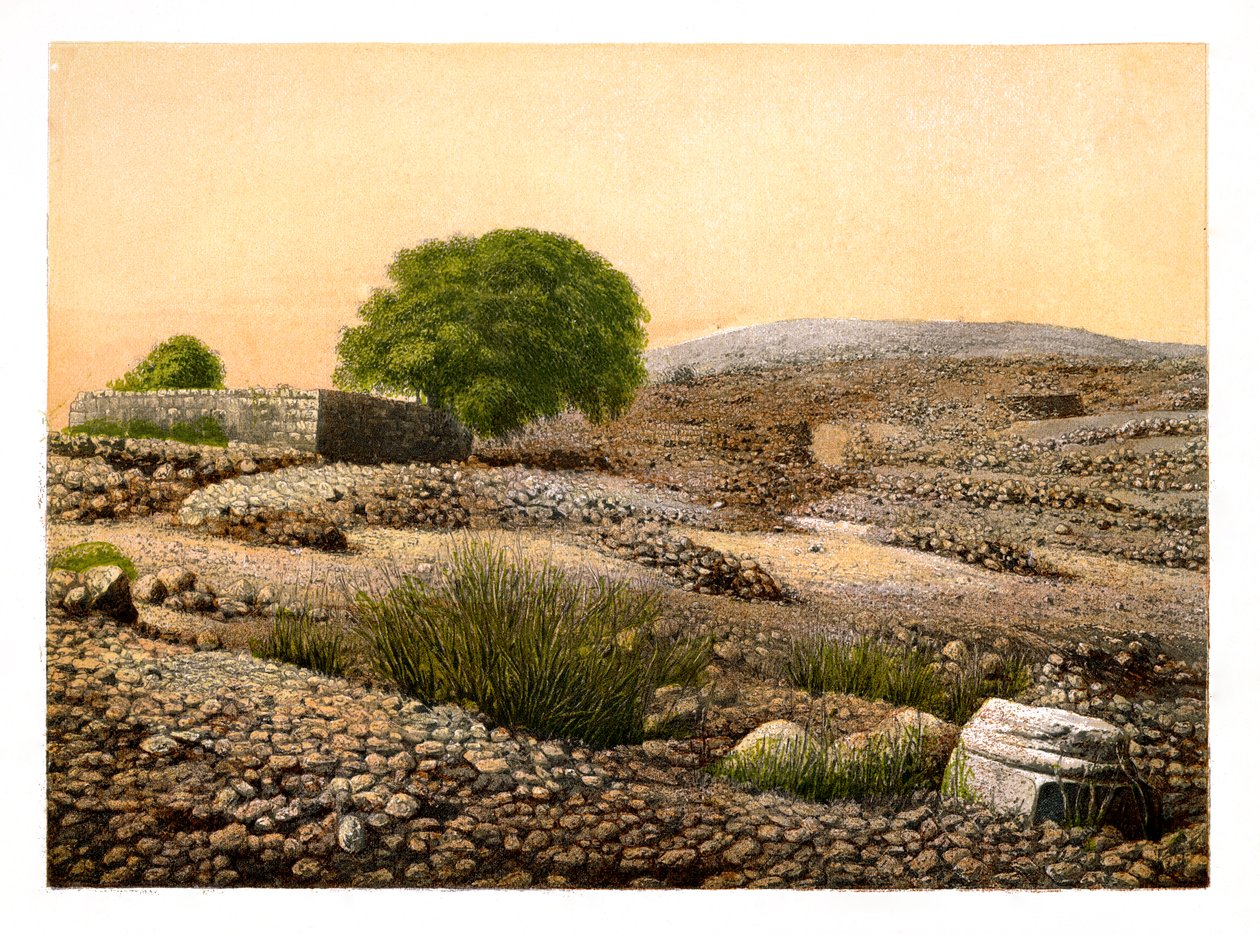 Shiloh, c1870. af W. Dickens