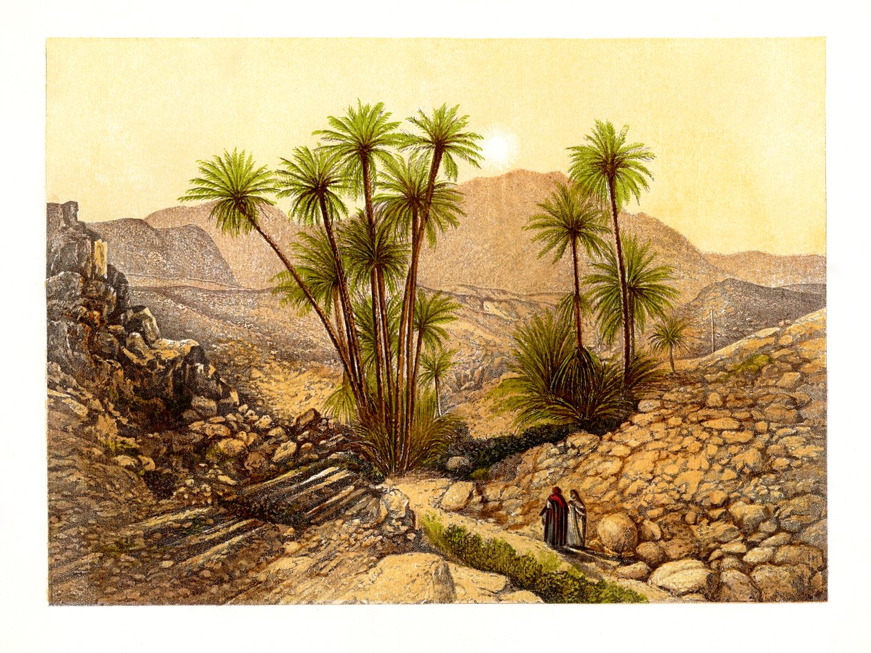 Sinai-ørkenen, Egypten, c1870. af W. Dickens