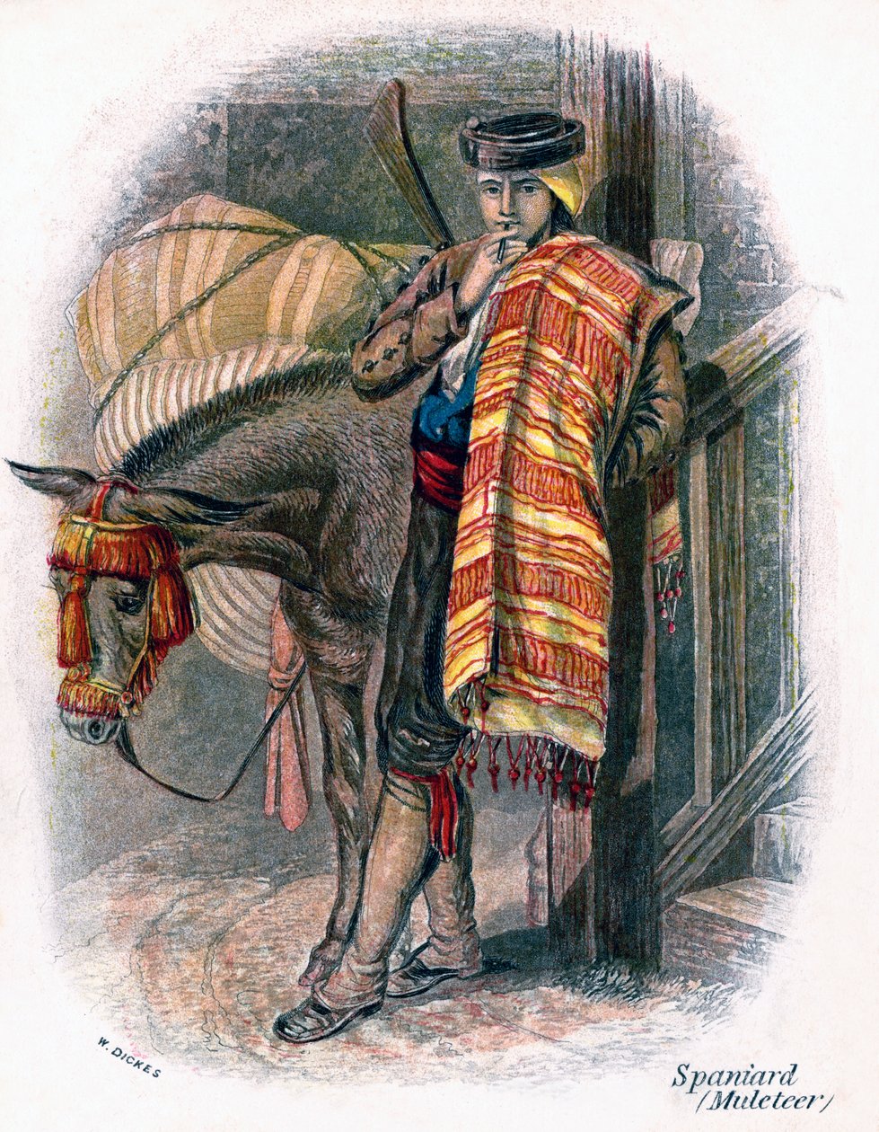 Spansk Muleteer, 1809. af W. Dickes