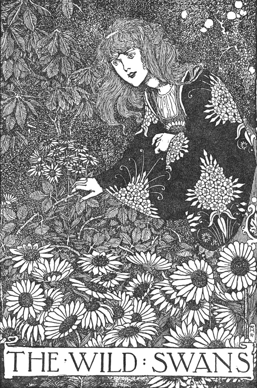 De vilde svaner, c1930 af William Heath Robinson