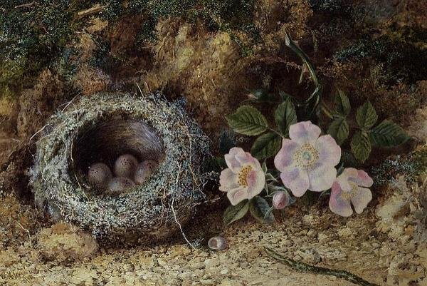 Fuglerede og briar roser af W. M. Arundale