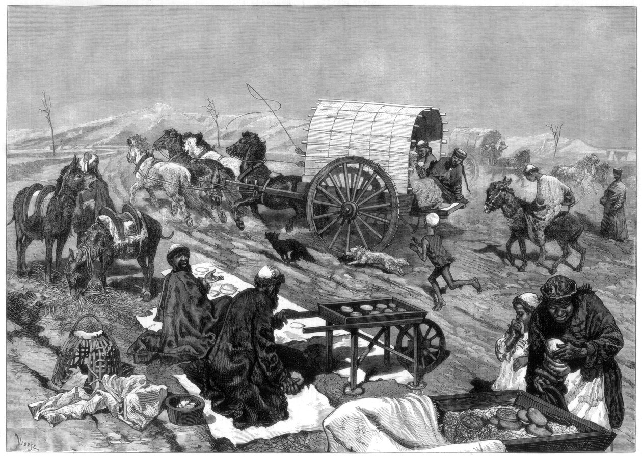 Damernes omnibus, Kashgar, Centralasien, 1875. af W. Palmer