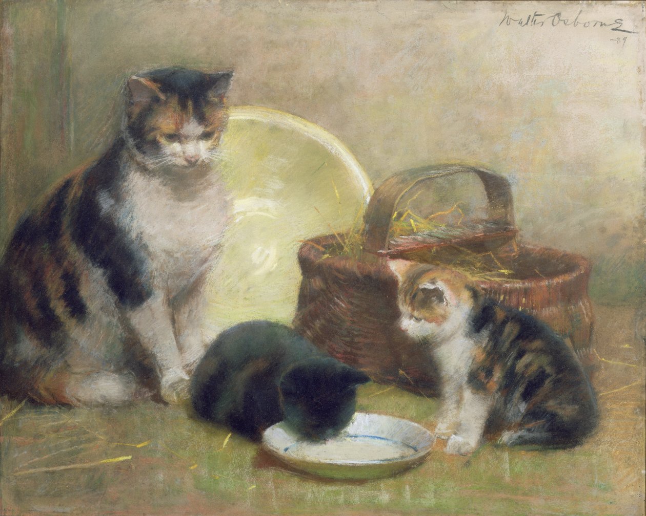 Kat og killinger, 1889 (pastel) af Walter Frederick Osborne