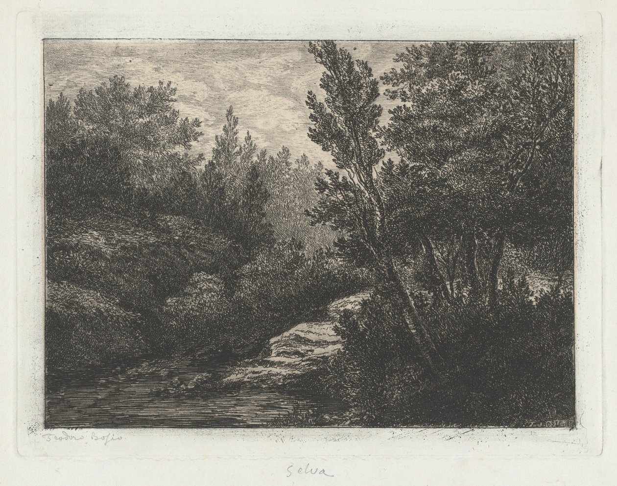 Selva (Skov) af Walter Teodoro Bosio