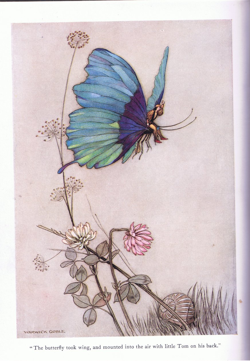 Sommerfuglen tog vinge af Warwick Goble