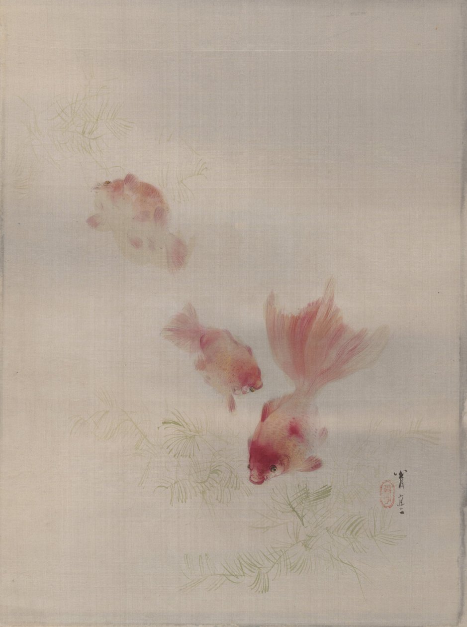 Guldfisk, ca. 1887. af Watanabe Seitei