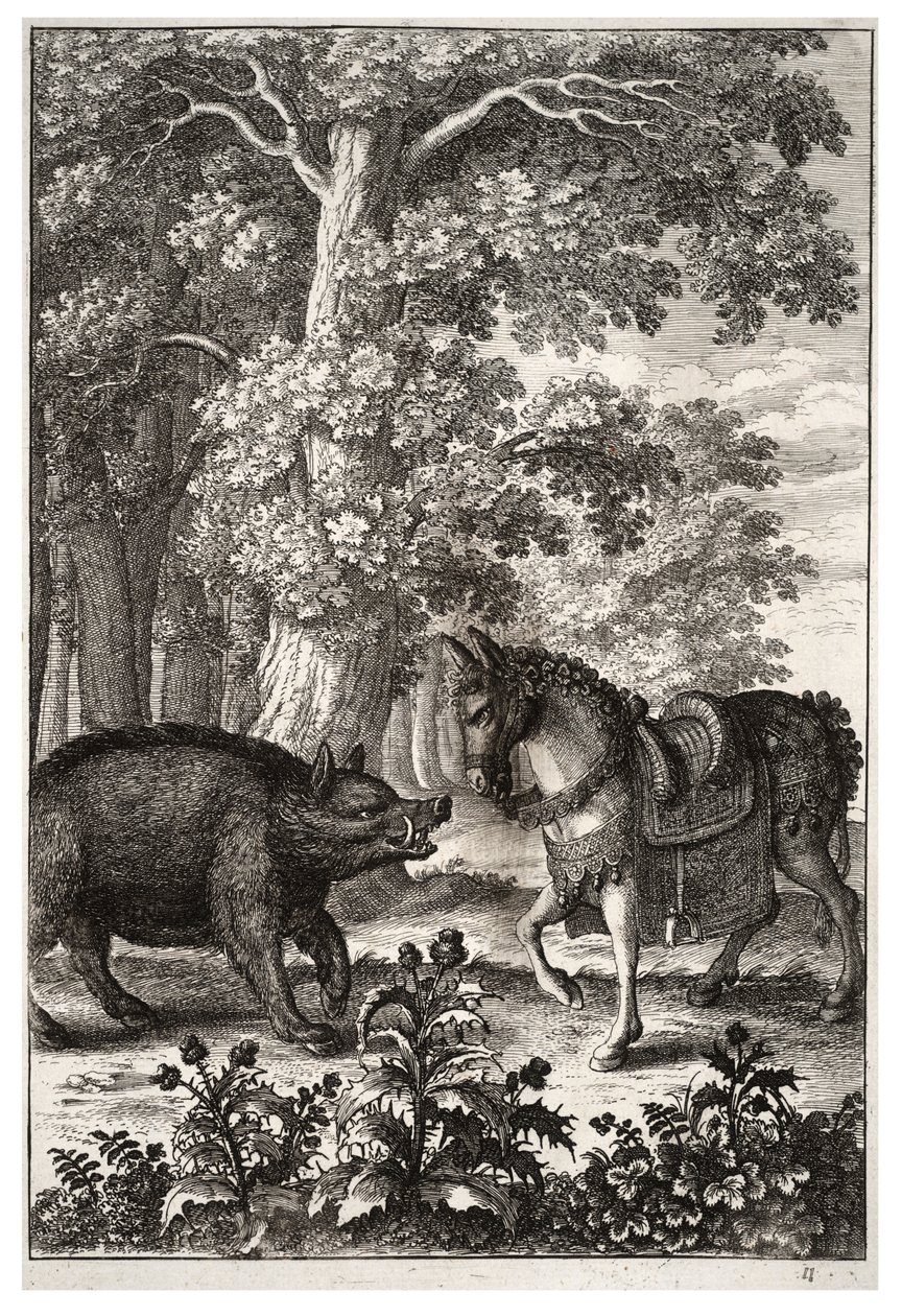 Ors og røv af Wenceslaus Hollar