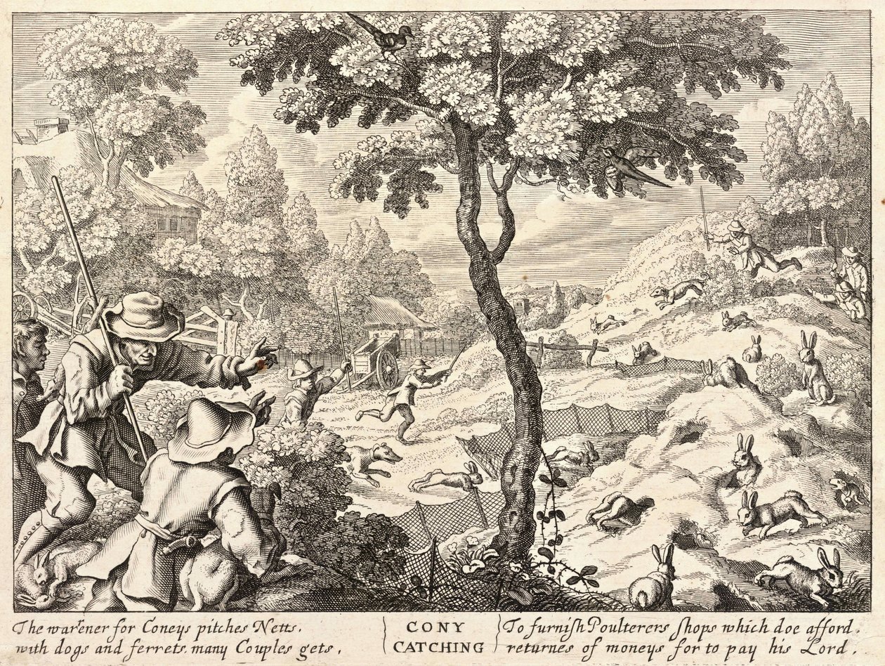 Coney fanger af Wenceslaus Hollar