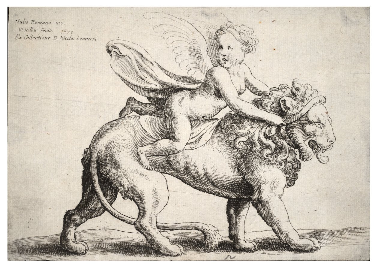 Amor på en løve, efter Giulio Romano af Wenceslaus Hollar