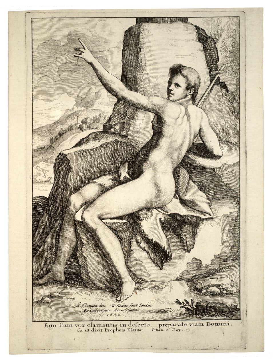 Johannes Døberen. Stat 2 af Wenceslaus Hollar