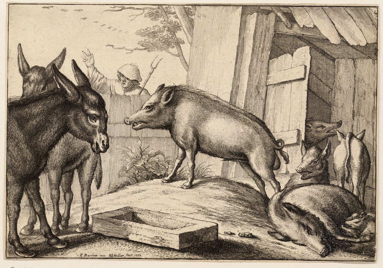 Grise og æsler af Wenceslaus Hollar