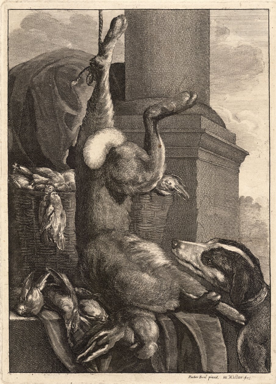 Den døde hare. Stat 3 af Wenceslaus Hollar