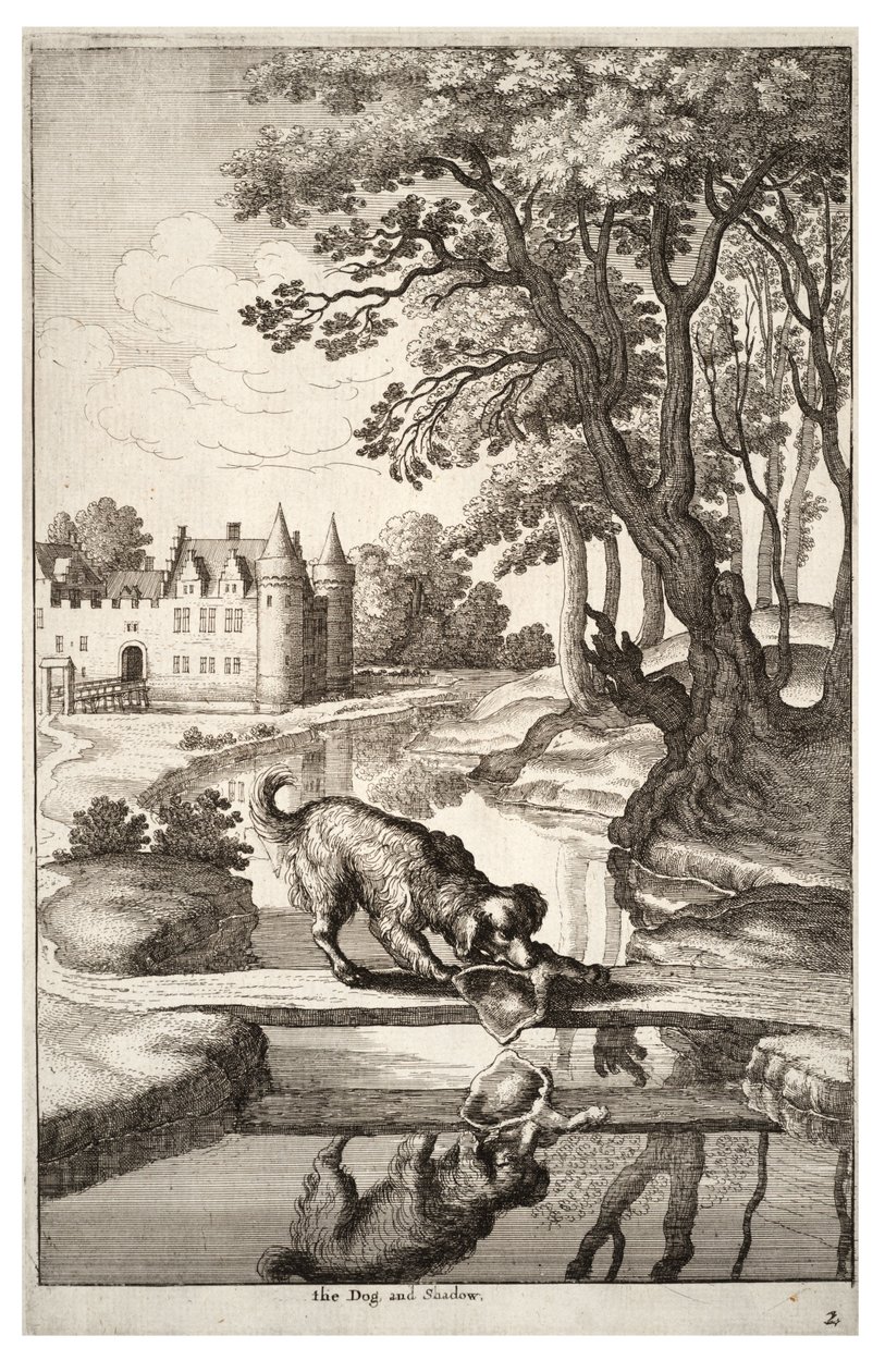 Hunden og hans refleksion af Wenceslaus Hollar