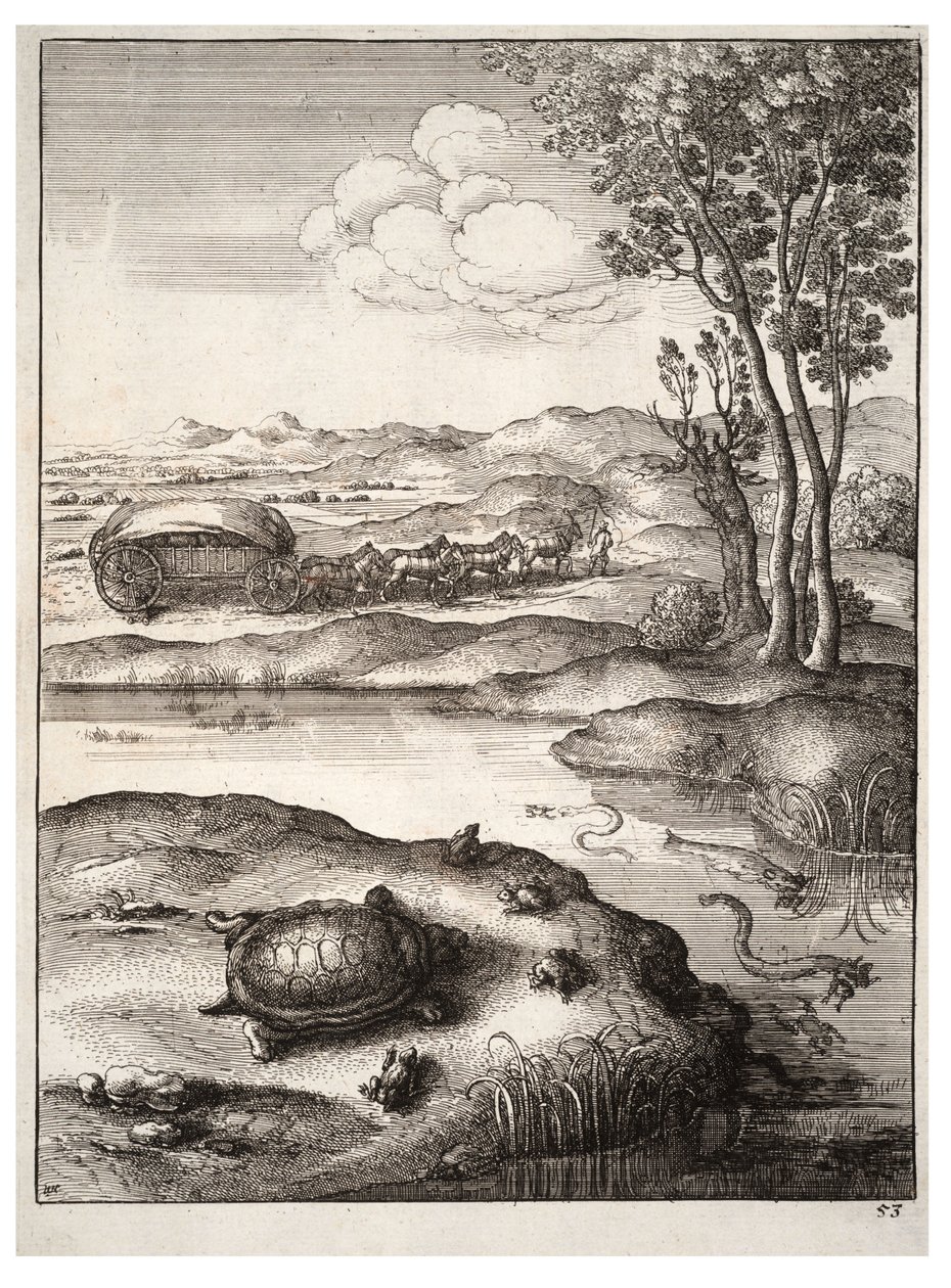 Skildpadden og frøerne af Wenceslaus Hollar