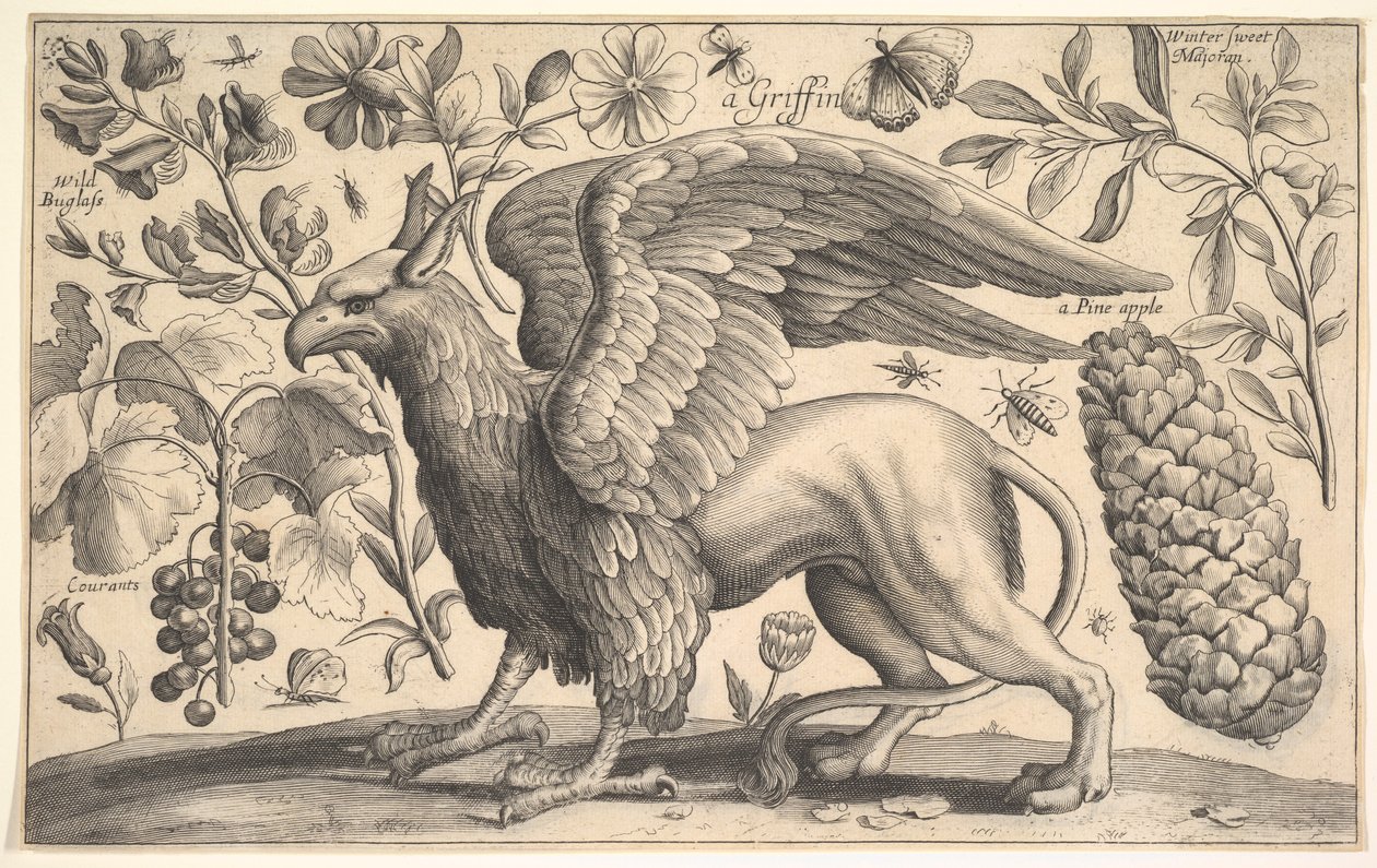 A Griffin, 1625-77. af Wenceslaus Hollar