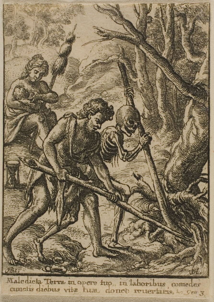 Adam pløjer af Wenceslaus Hollar