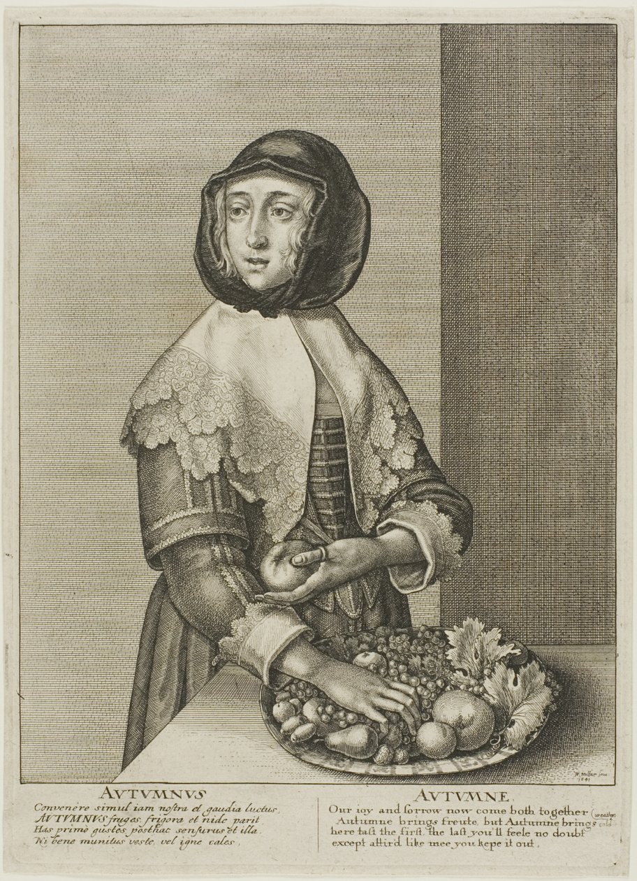 Efterår af Wenceslaus Hollar