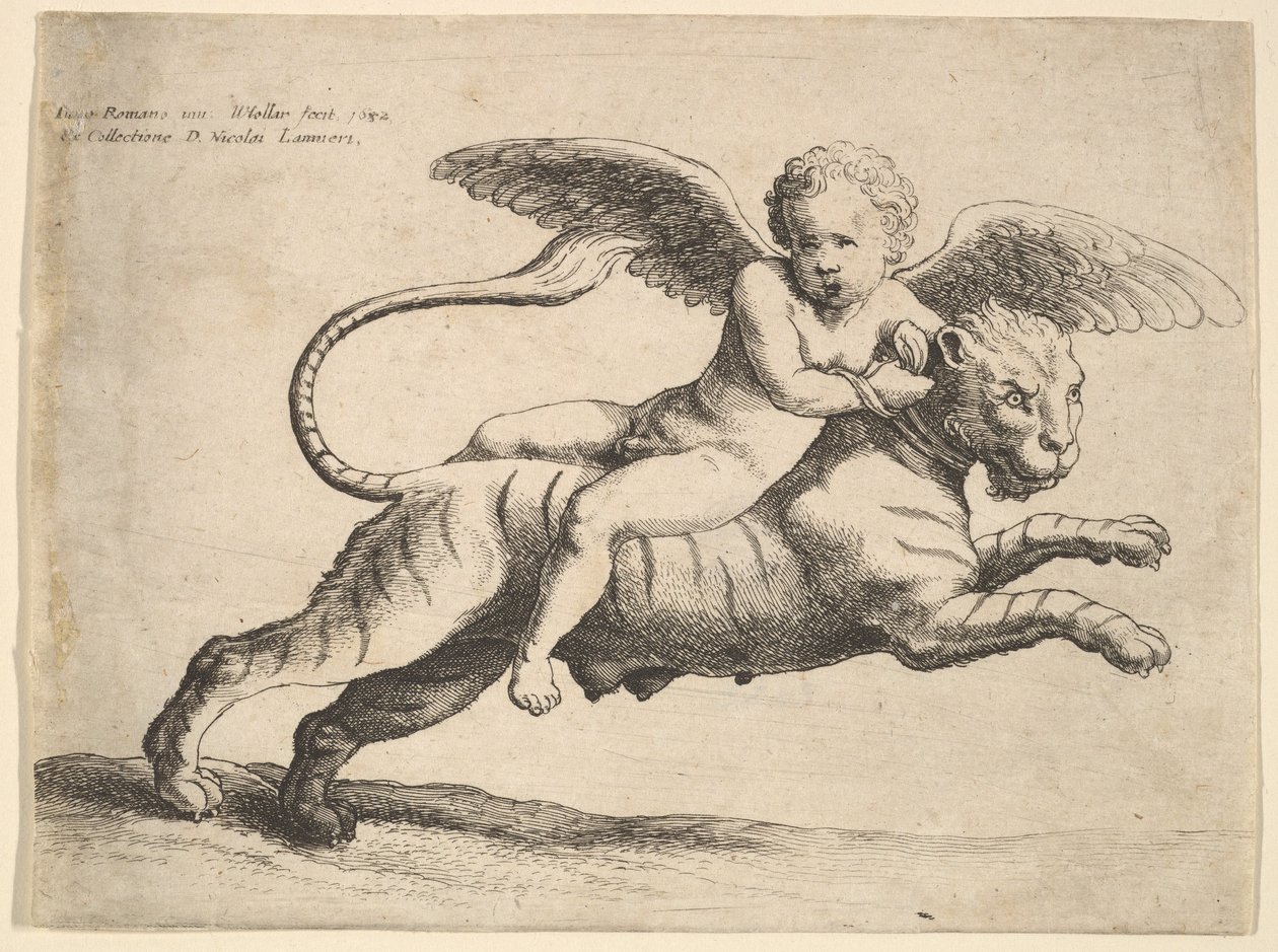 Amor på en tiger, 1652. af Wenceslaus Hollar