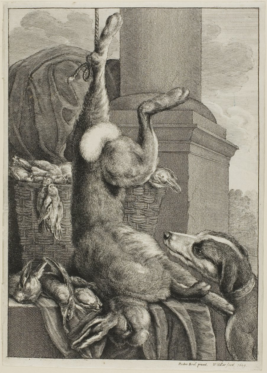 Død Hare af Wenceslaus Hollar