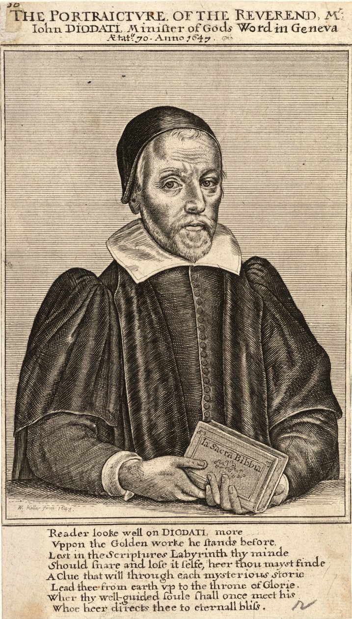 Diodata. Tilstand 3 af Wenceslaus Hollar