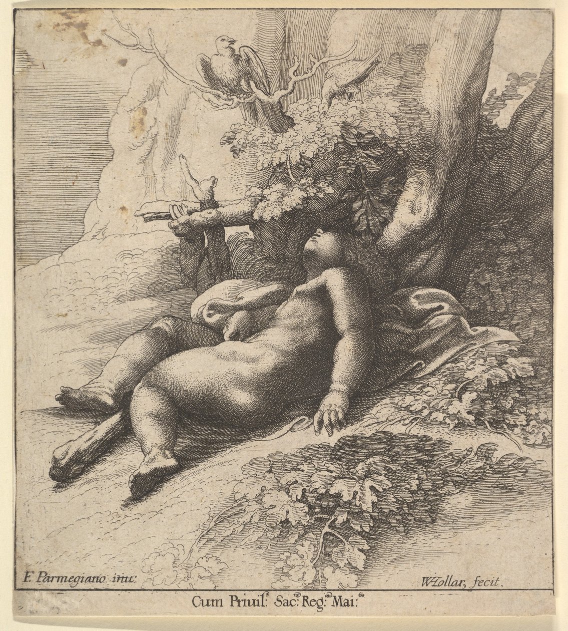 Spædbarnet Herkules i søvn, 1625-77. af Wenceslaus Hollar
