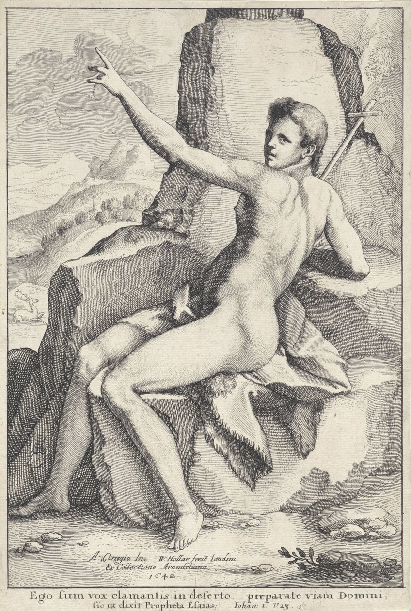 Johannes Døberen i ørkenen af Wenceslaus Hollar