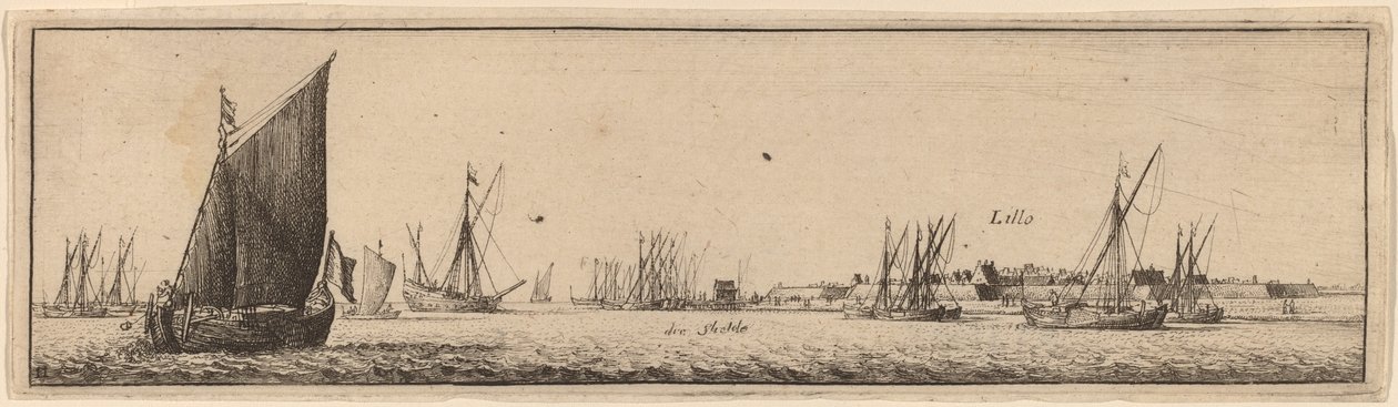 Lillo af Wenceslaus Hollar