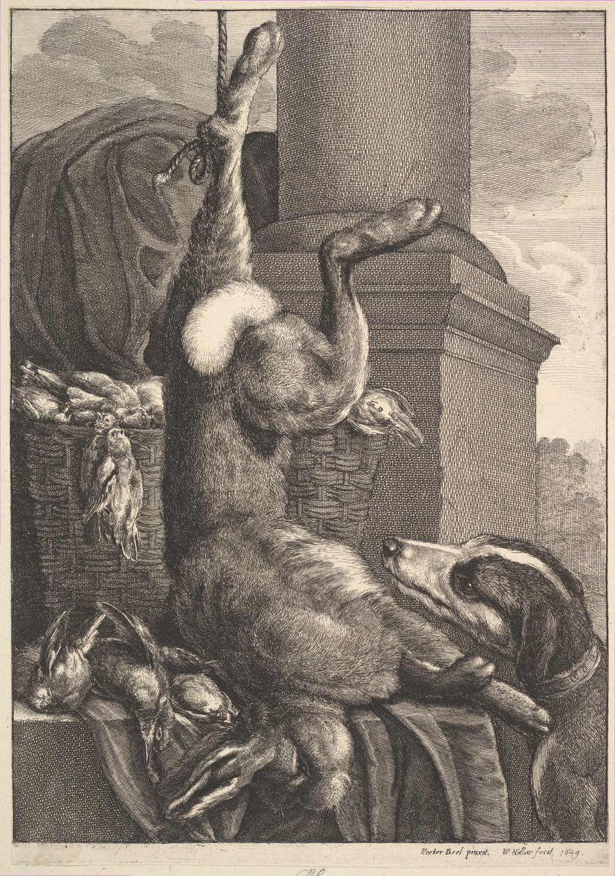 Den døde hare, 1649. af Wenceslaus Hollar