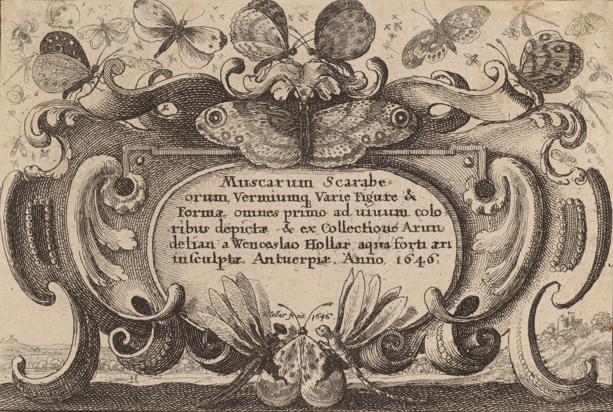 Titelblad, 1646. af Wenceslaus Hollar