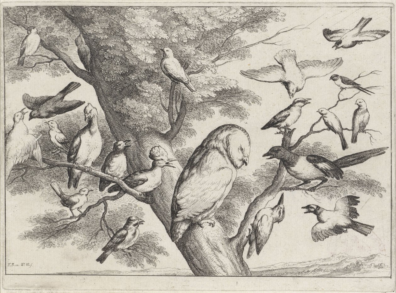 Fugle i et træ Forskellige fugle (serietitel) af Wenceslaus Hollar