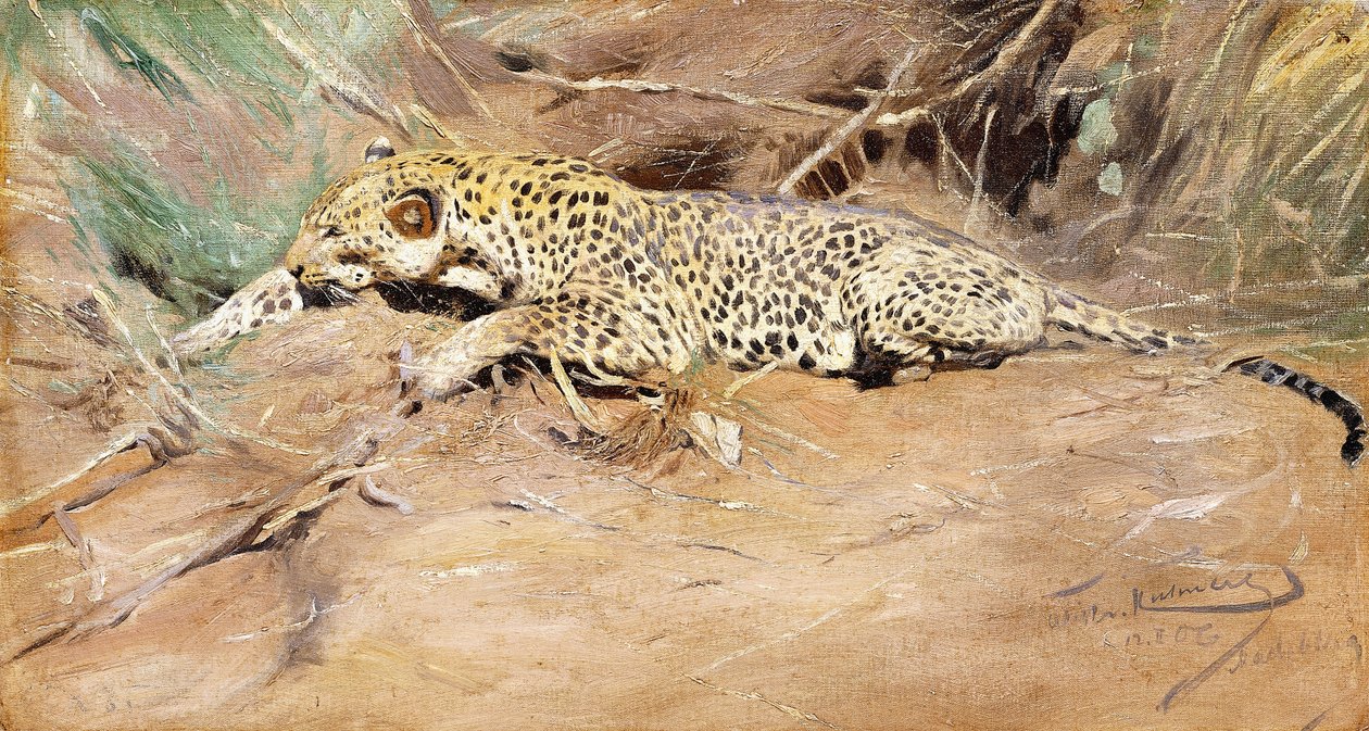 en leopard, af Wilhelm Kuhnert