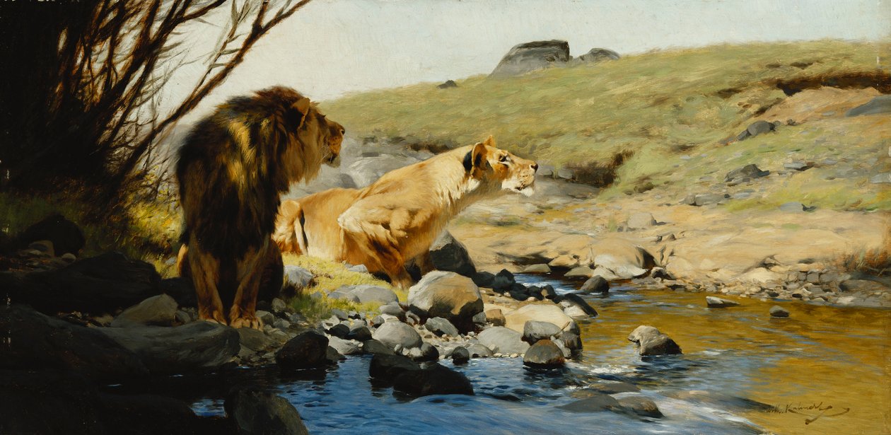 En løve og løvinde ved en strøm, af Wilhelm Kuhnert