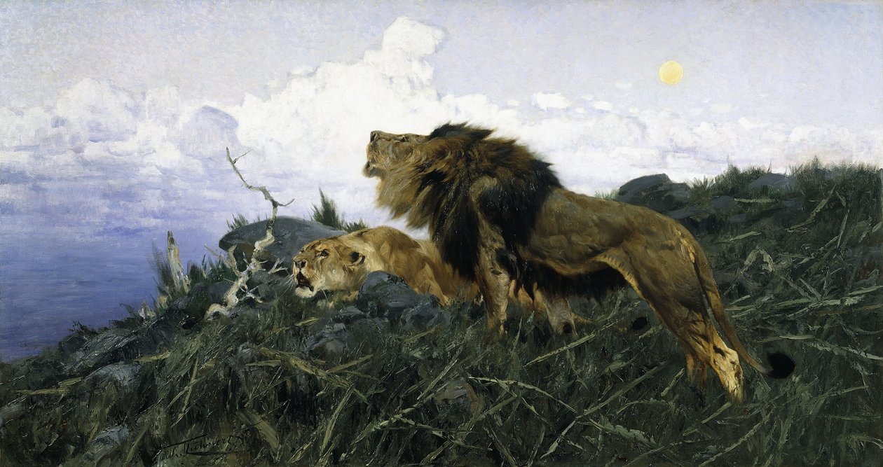 Løver i skumringen, af Wilhelm Kuhnert